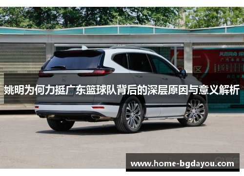 姚明为何力挺广东篮球队背后的深层原因与意义解析