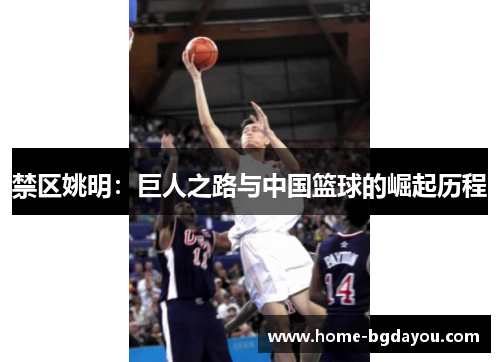 禁区姚明：巨人之路与中国篮球的崛起历程