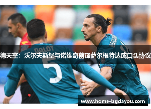 德天空：沃尔夫斯堡与诺维奇前锋萨尔根特达成口头协议